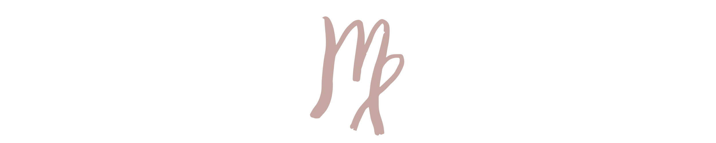 VIRGO