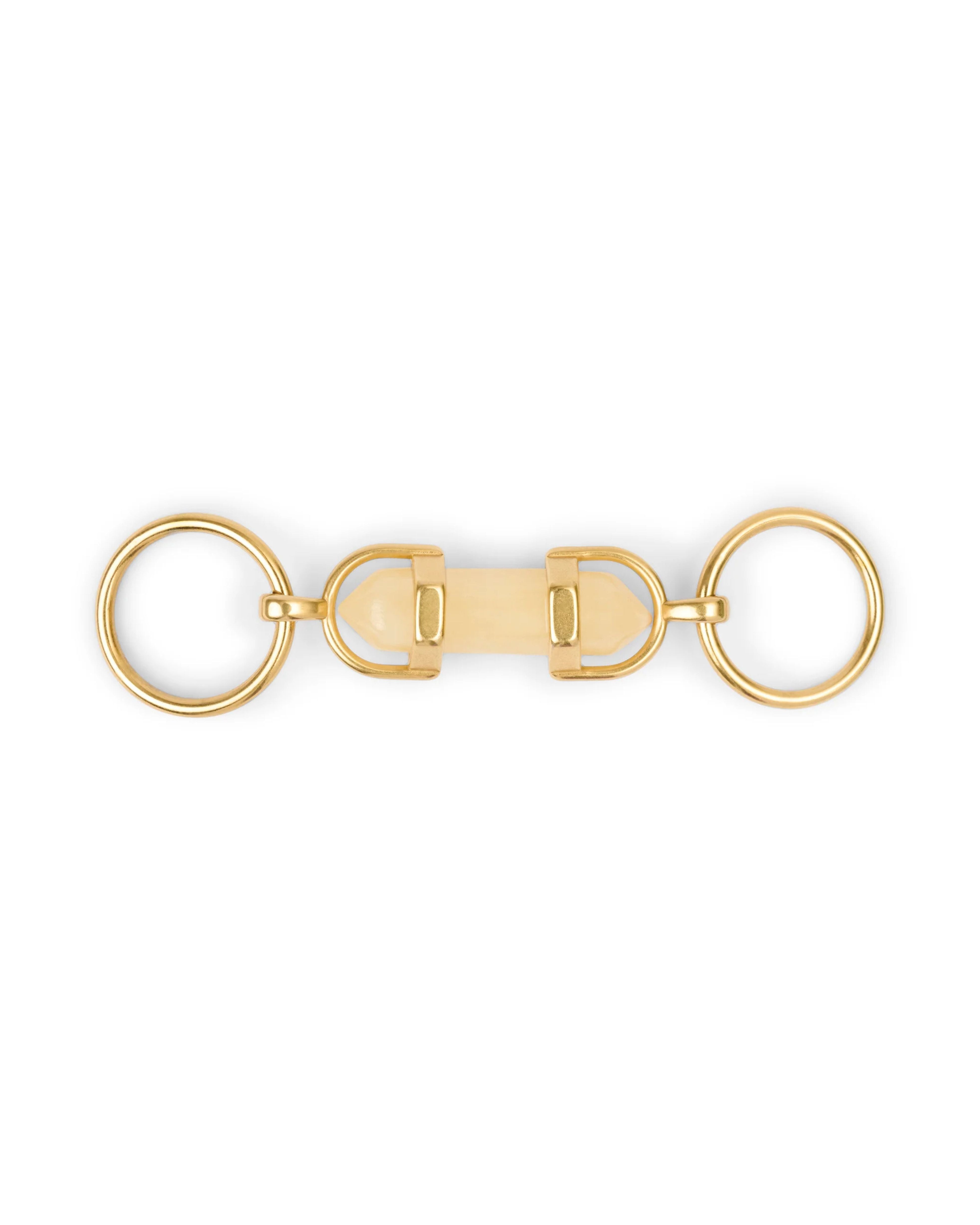 aura crystal charm (dog) | citrine | aura animale