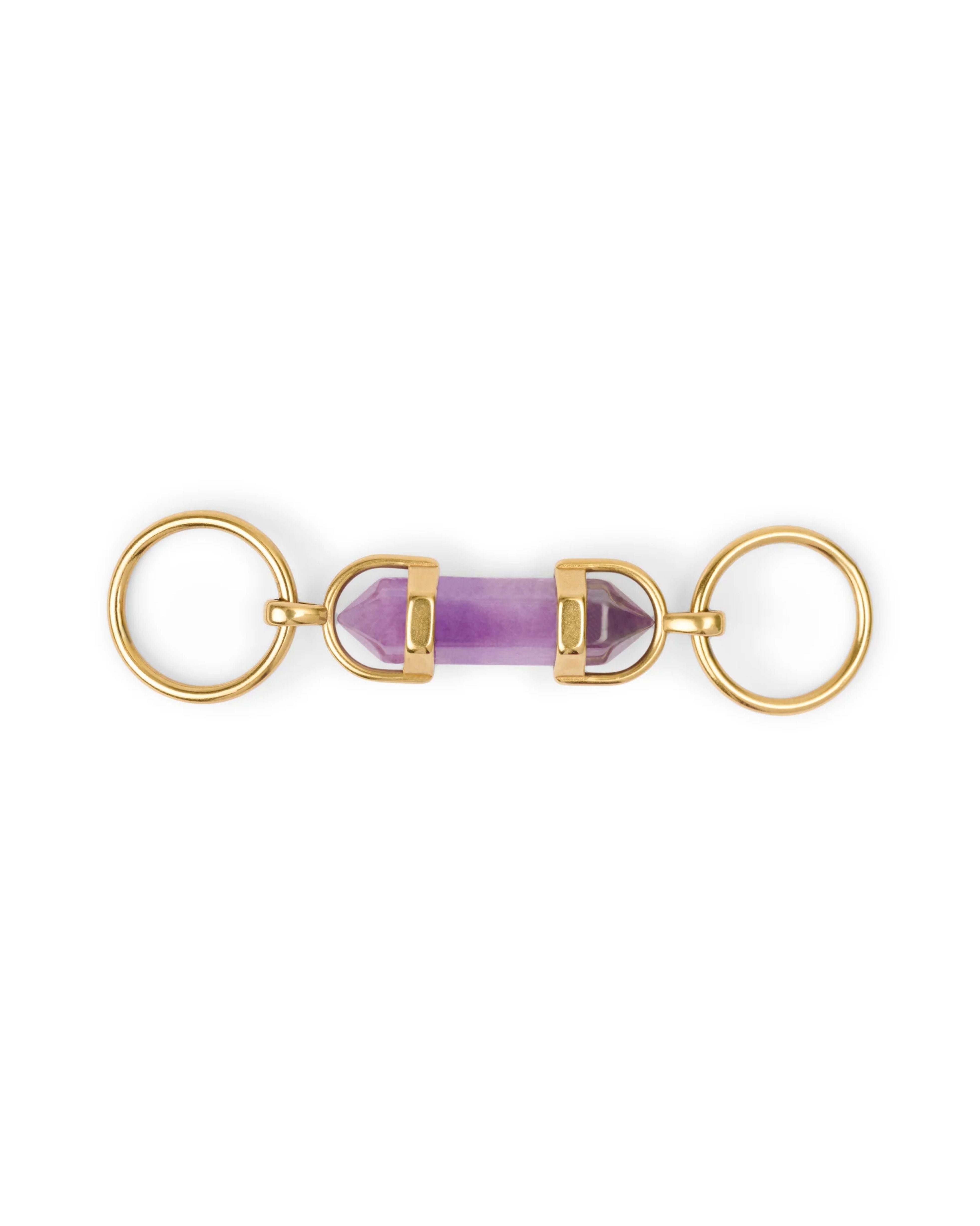 aura crystal charm (dog) | amethyst | aura animale