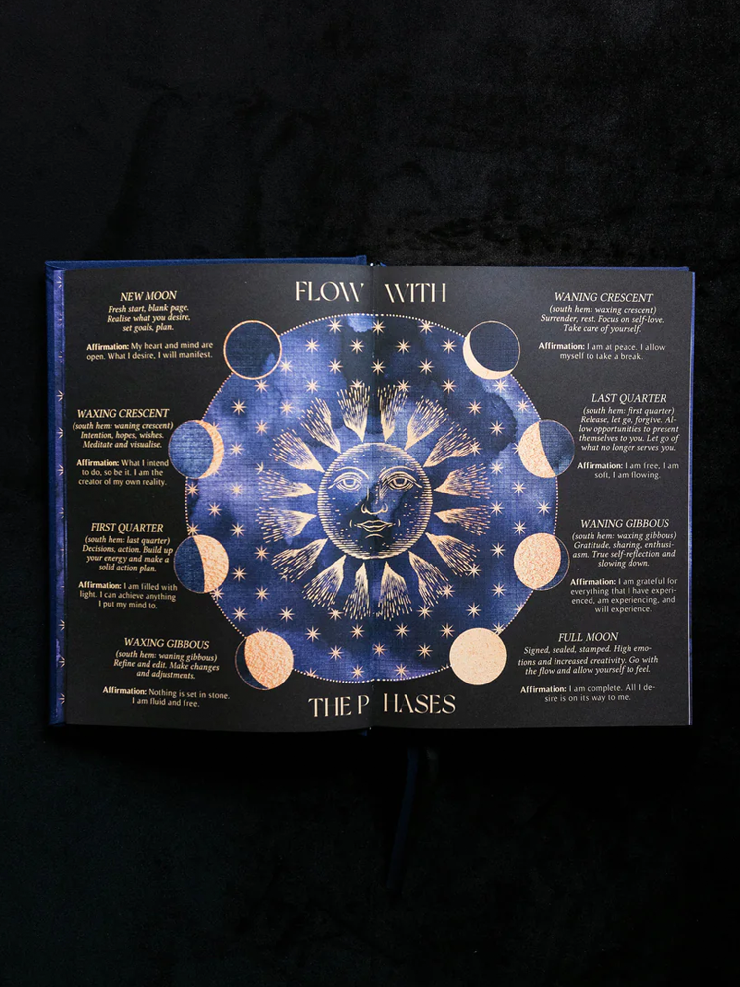 2024 year of growth book | dreamy moons