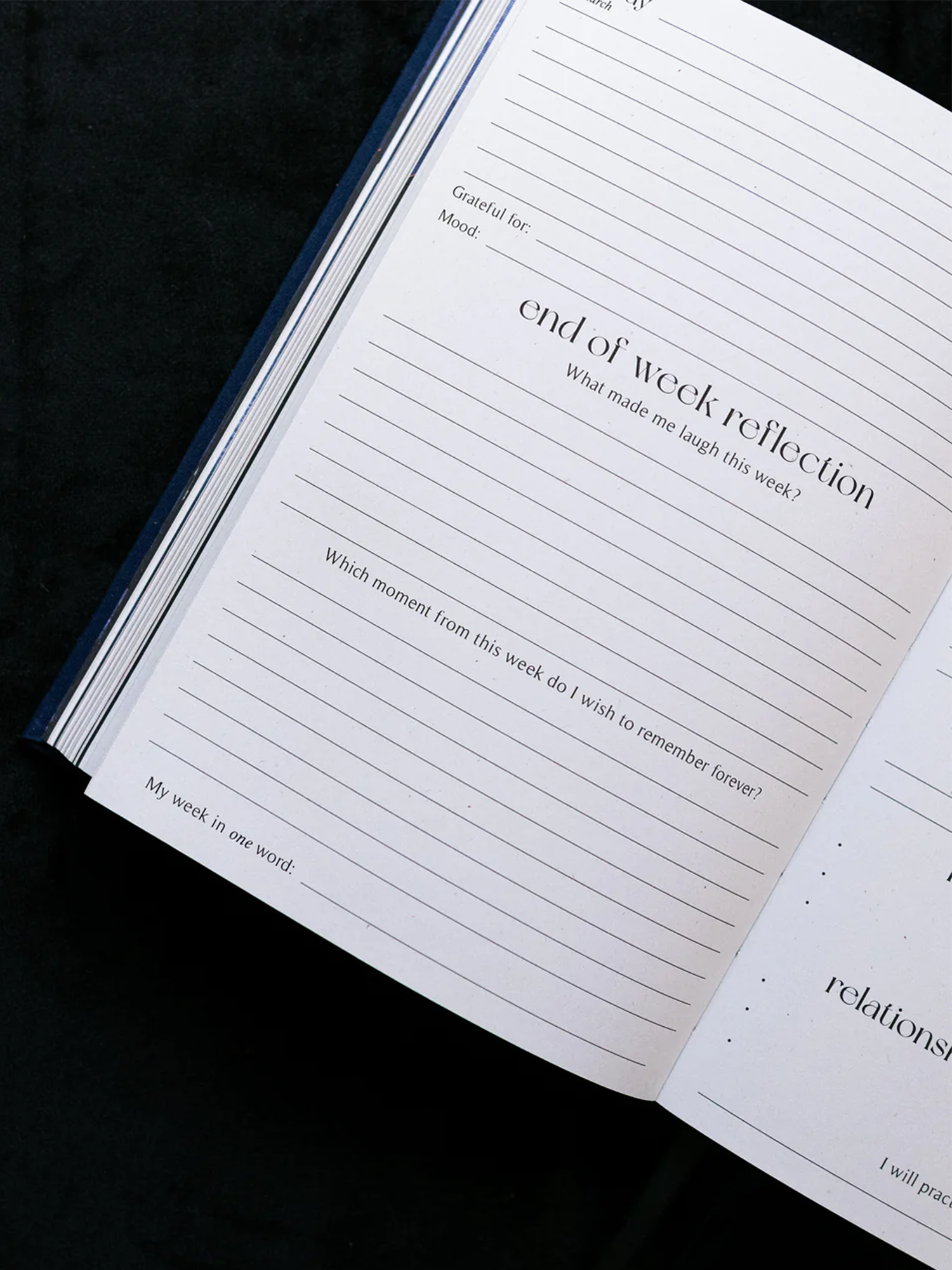 2024 year of growth book | dreamy moons