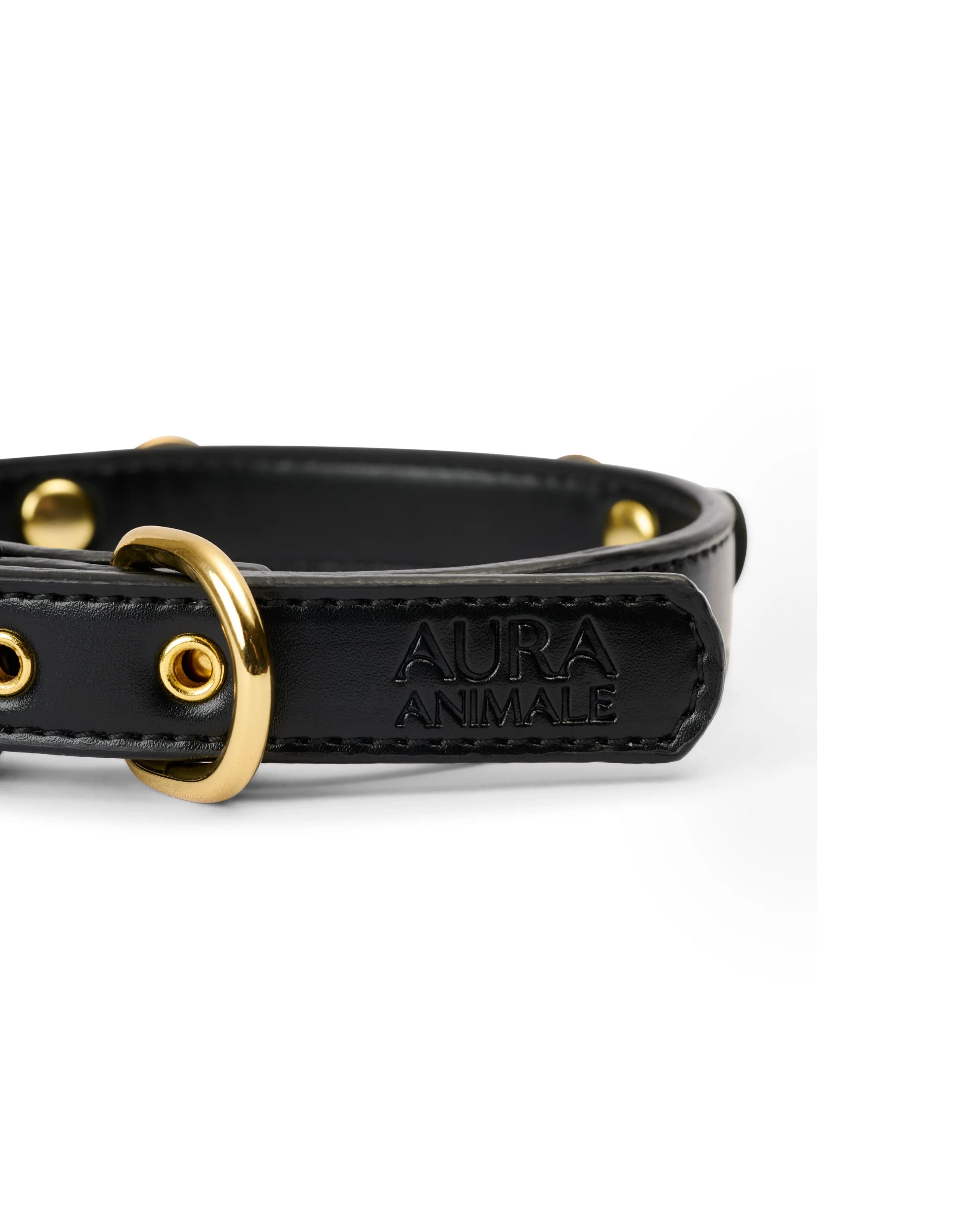 soul dog collar | black | aura animale