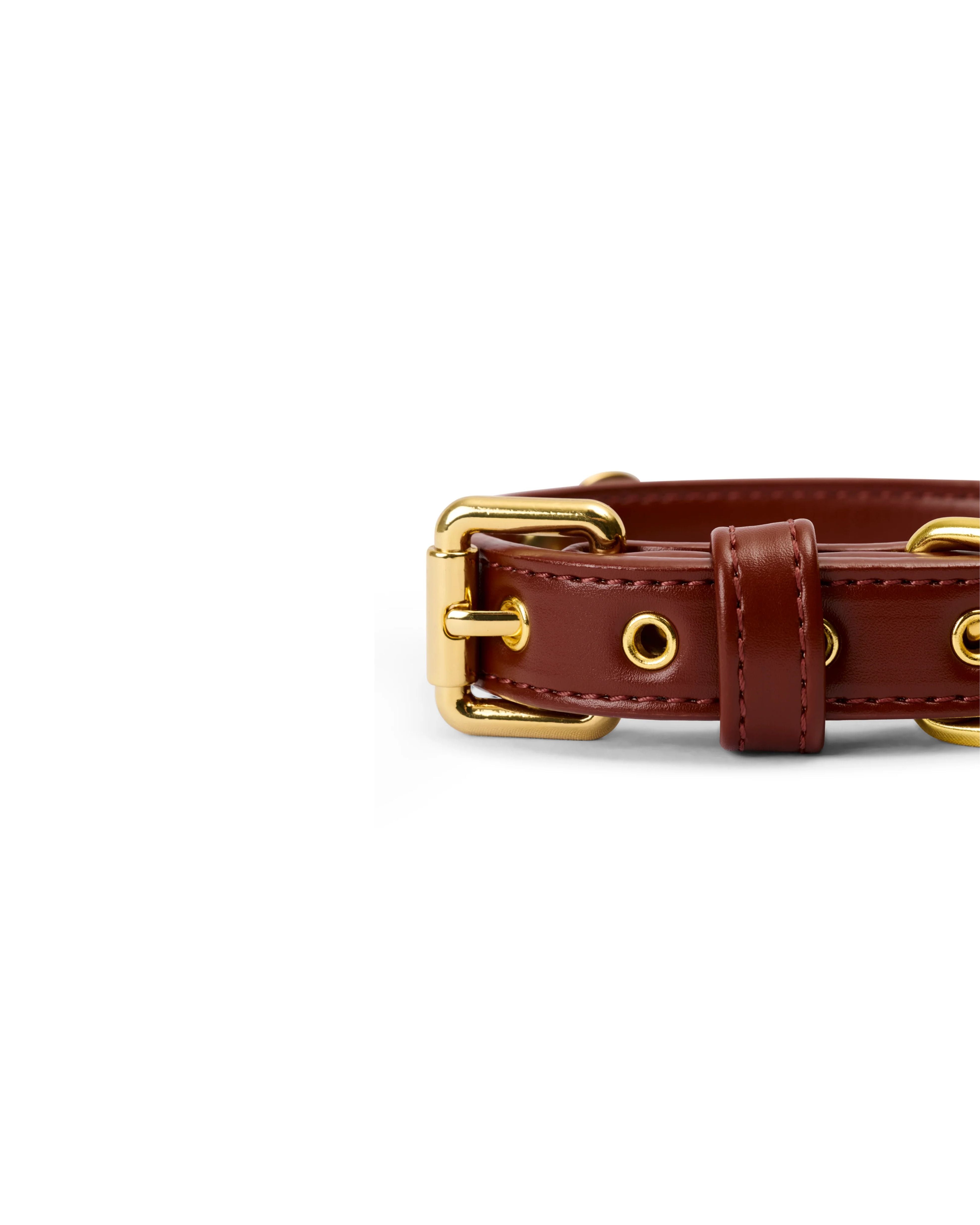 soul dog collar | chestnut | aura animale