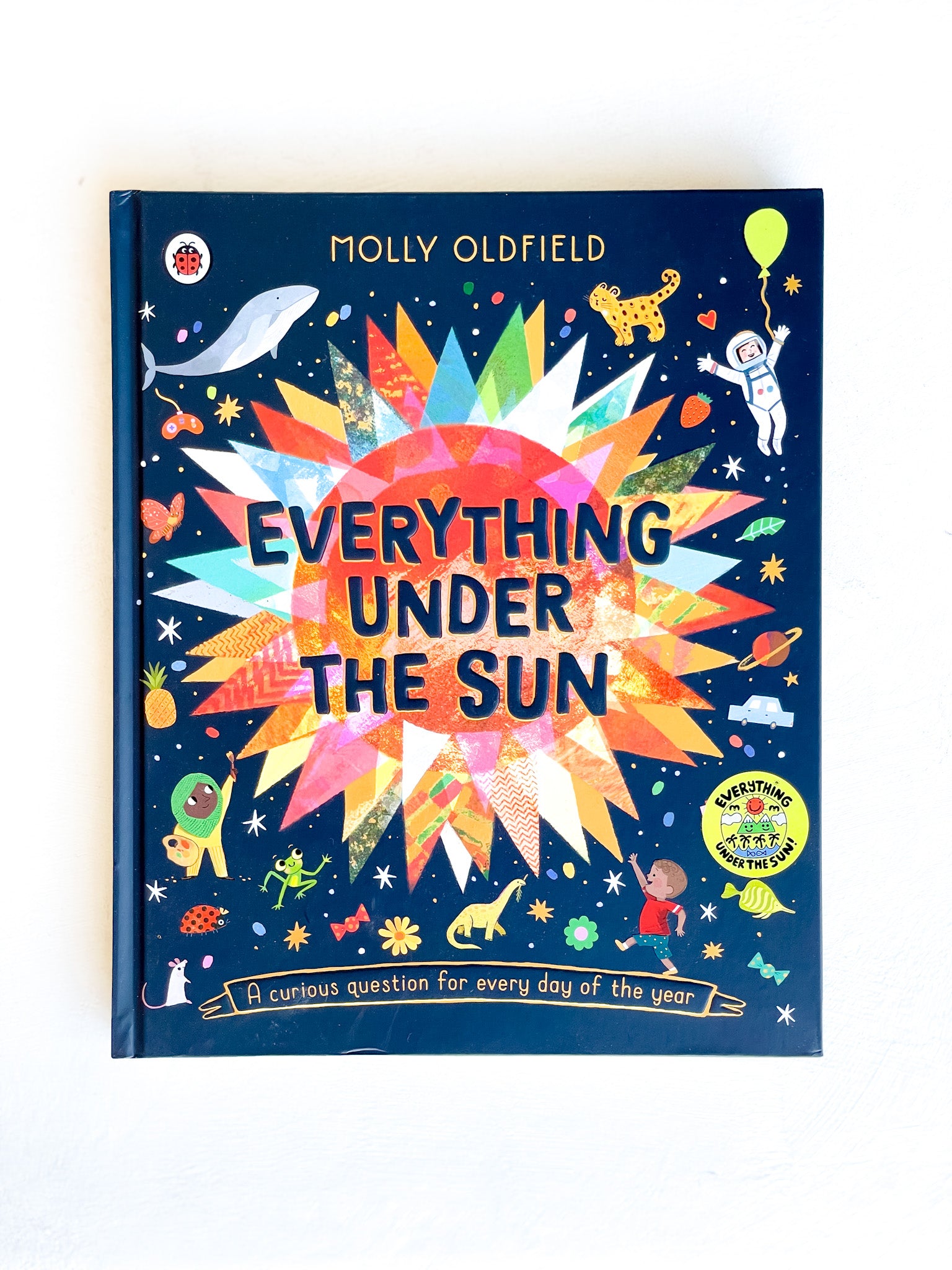 everything under the sun | molly oldfield