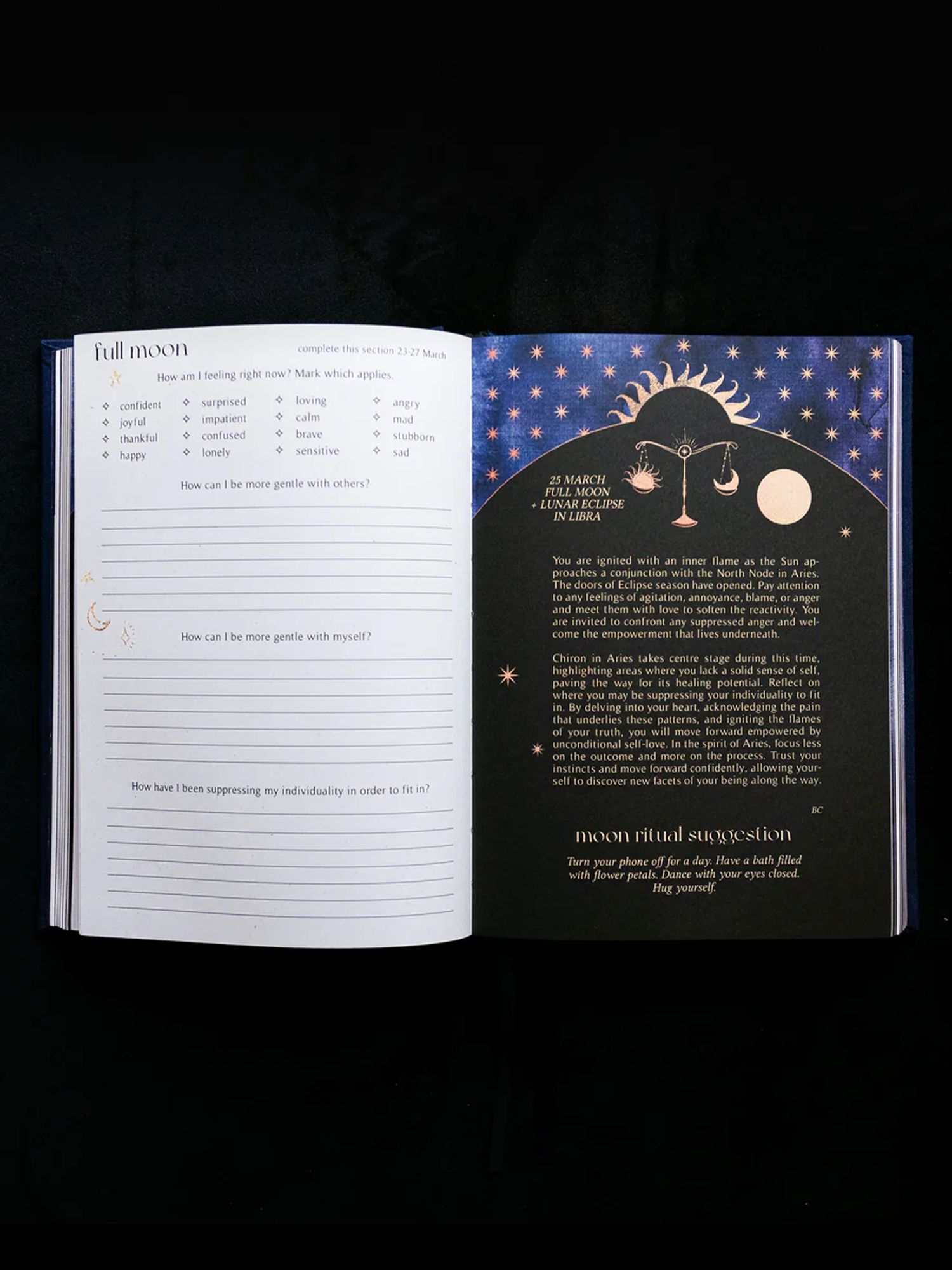 2024 year of growth book | dreamy moons