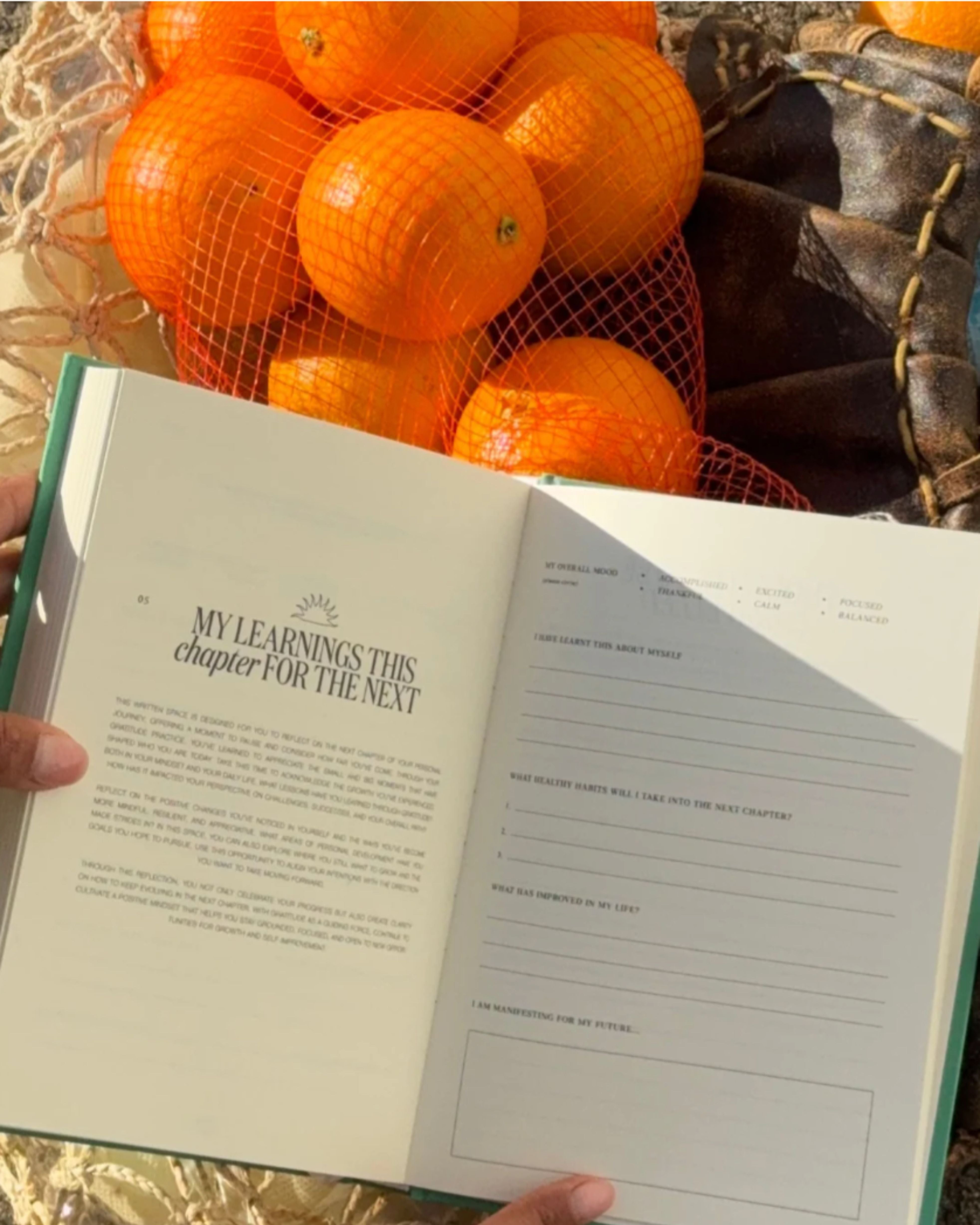 selfdom gratitude journal | dominique ellisa | matcha green